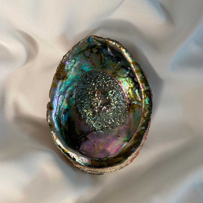 Conjunto de limpeza energética Abalone Shell