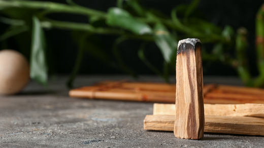 Palo Santo: Propiedades, beneficios y usos para el bienestar